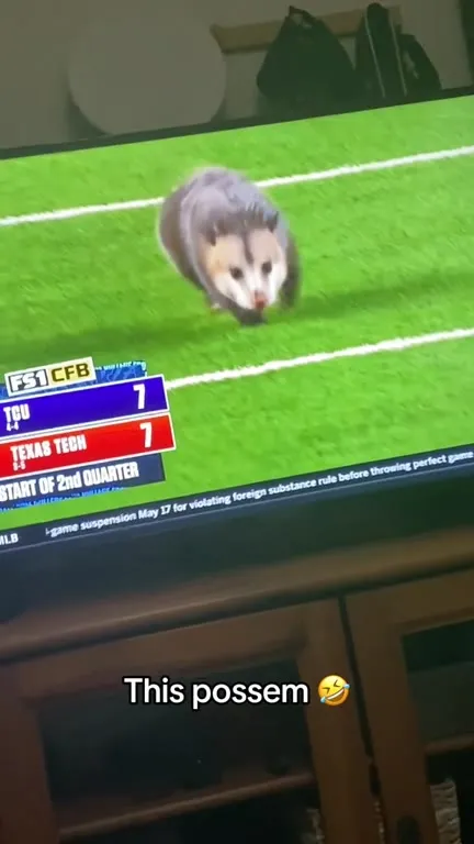 This possem runs onto the field