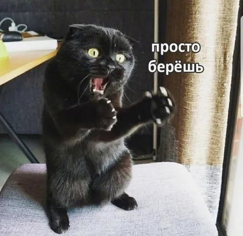Просто берёшь и делаешь