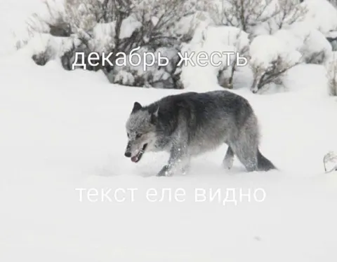 Декабрь — жесть