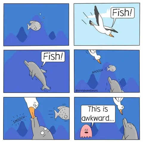 Fish This Is Awkward