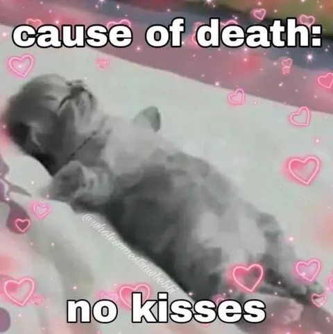 Cause of Death: No Kisses