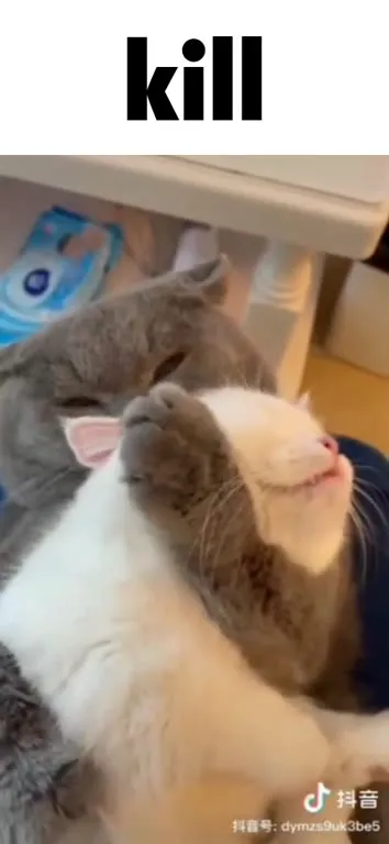 Cat Says Kill