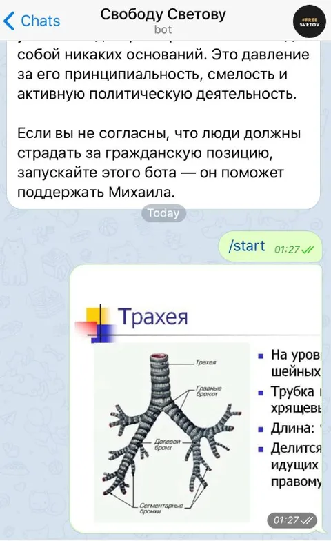 Бот прислал трахею вместо аватарки