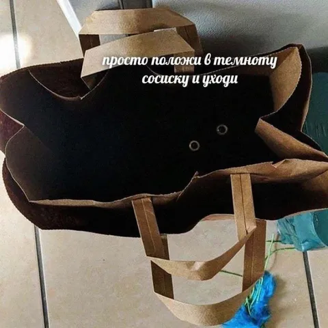 Сосиска в темноте