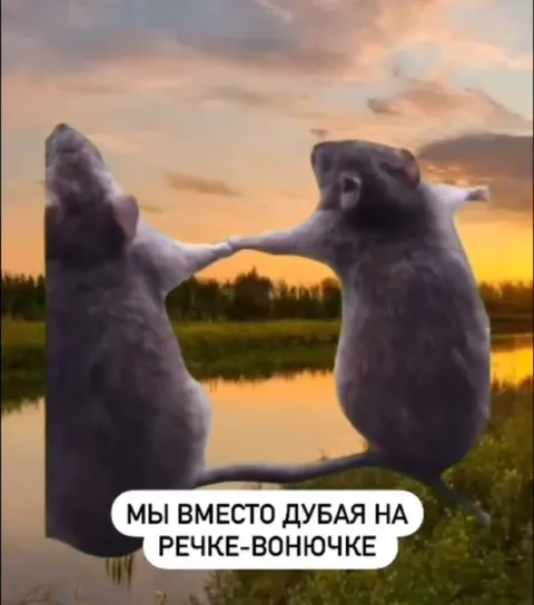 Вместо дубая на речке
