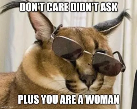 Don't Care Didn't Ask Cat