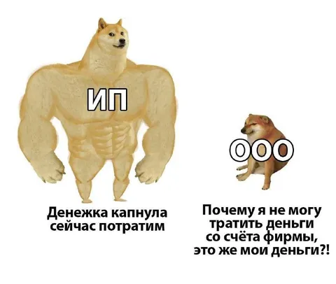 ИП против ООО
