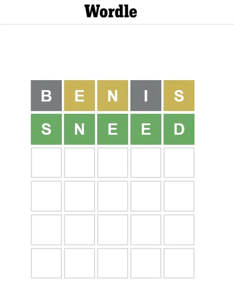 Wordle Guesses BENIS and SNEED