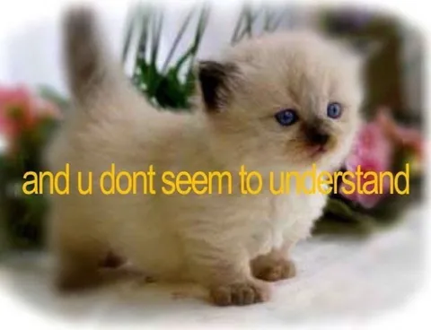 You Don't Seem to Understand