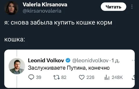 Кошка заслуживает Путина