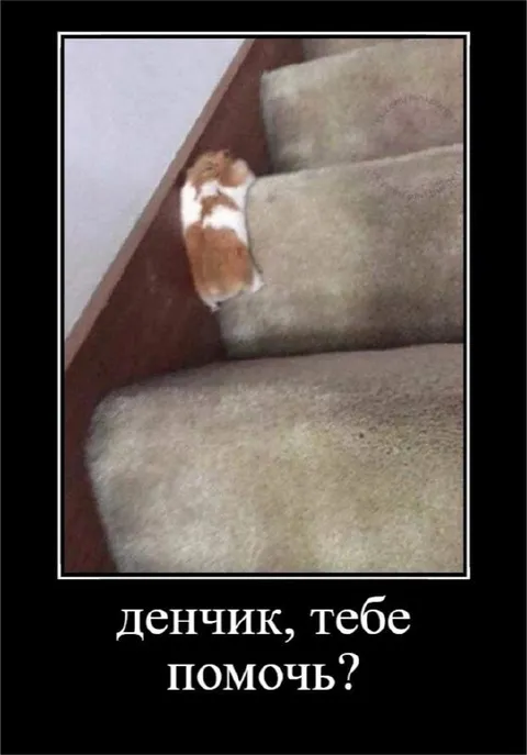 Денчик, тебе помочь?