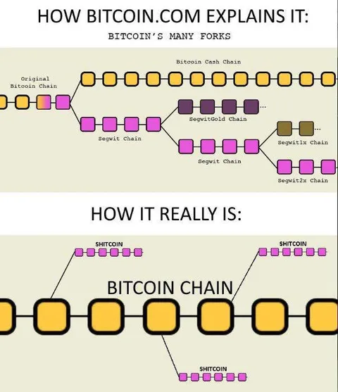 Bitcoin Forks Explained Honestly