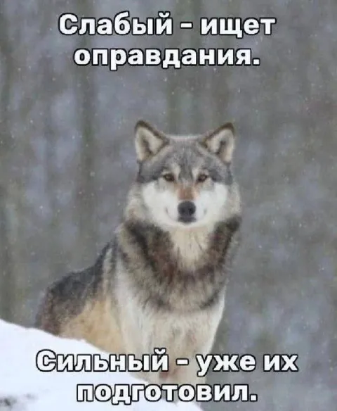 Слабый ищет оправдания