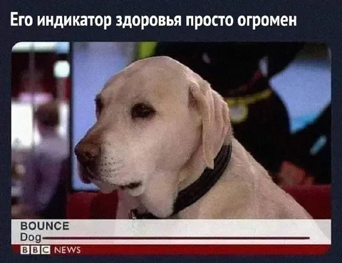 Индикатор здоровья огромен