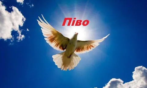 Небесне піво