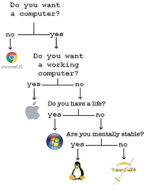 Do You Want a Computer?