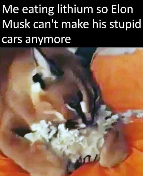 Eating Lithium to Stop Tesla