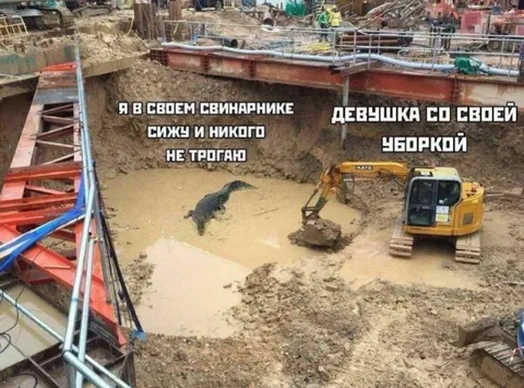 Девушка со своей уборкой