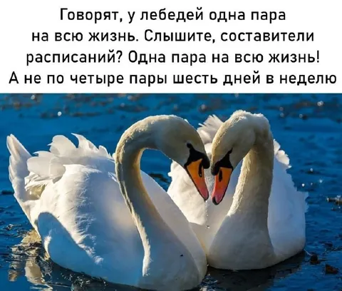 Одна пара на всю жизнь