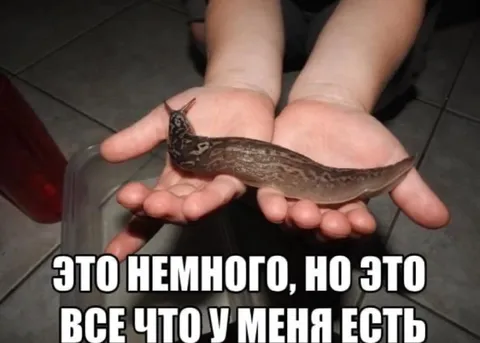 Это всё, что у меня есть