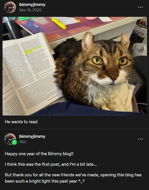 He Wants to Read Cat
