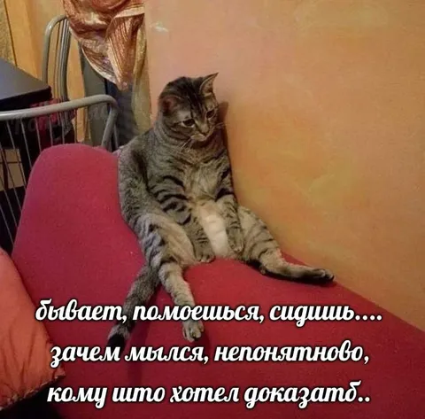 Зачем мылся, непонятново