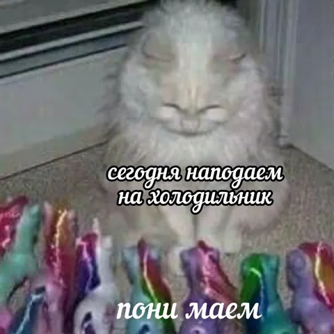 Кот напоминает про холодильник