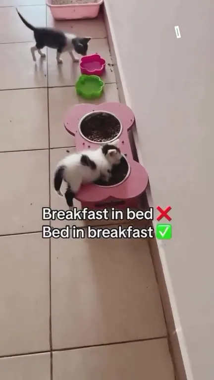 Bed in Breakfast