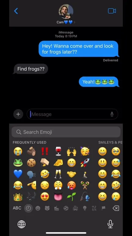 The Frog Friday Plans