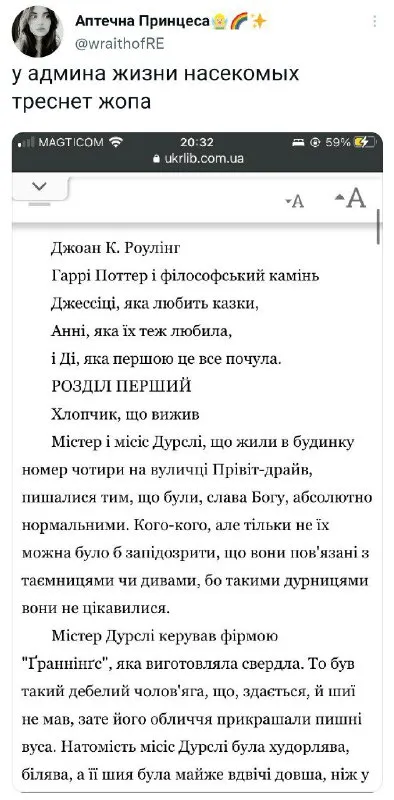 Админ читает Гарри Поттера