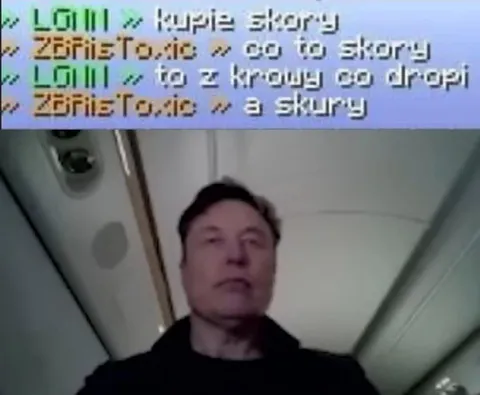 Kupie skory z krowy