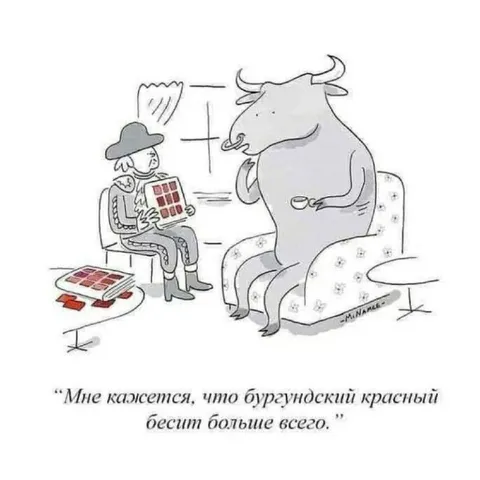 Бык ненавидит бургундский красный