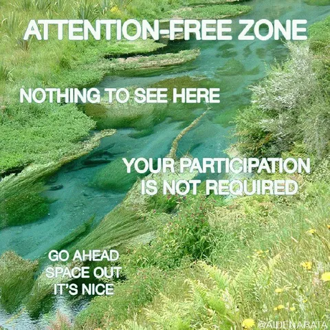 Attention-Free Zone Nature Meme