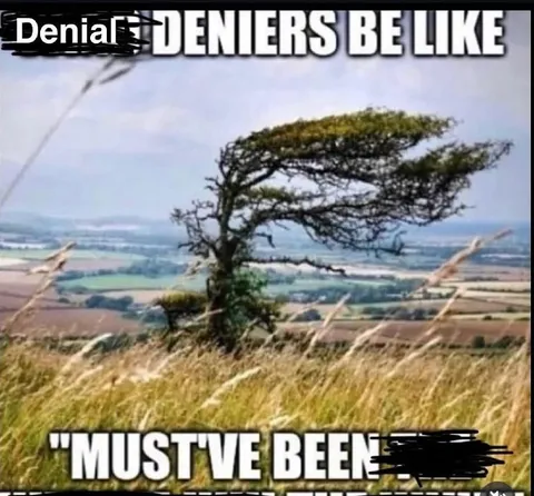 Denial Deniers Be Like