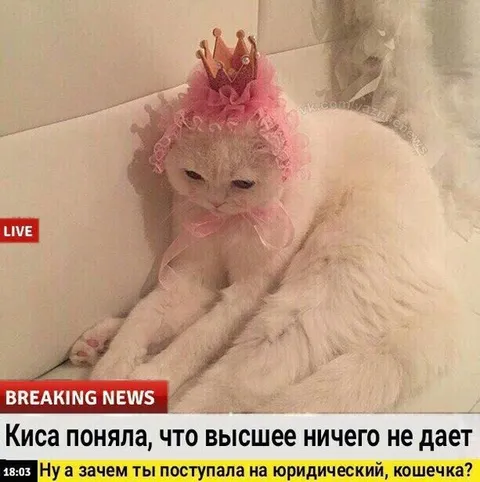 Высшее ничего не дает