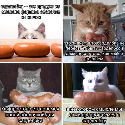 Кошки становятся оболочкой сардельки