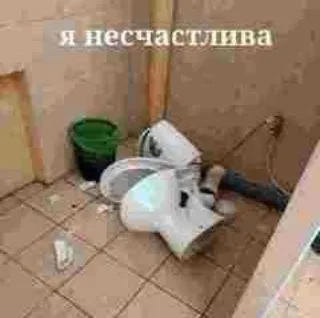 Я несчастлива в туалете