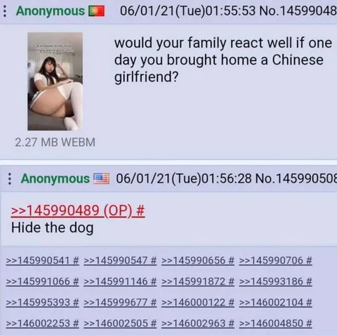 Hide the Dog