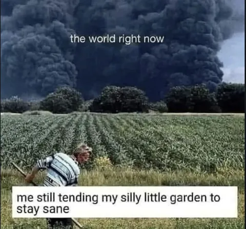 Tending My Silly Little Garden