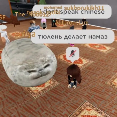 Тюлень делает намаз