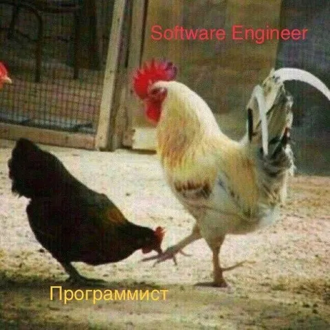 Программист и Software Engineer