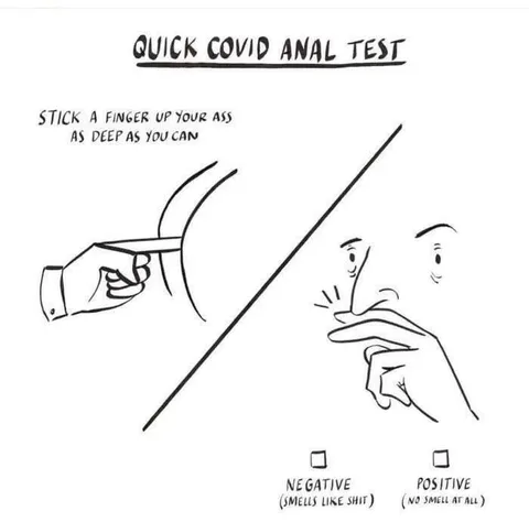Quick Covid Anal Test