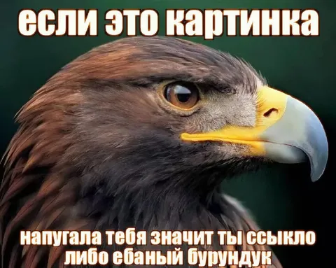 Если эта картинка напугала