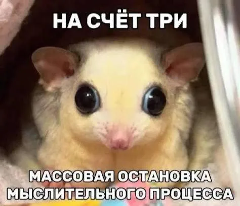 Массовая остановка мыслительного процесса
