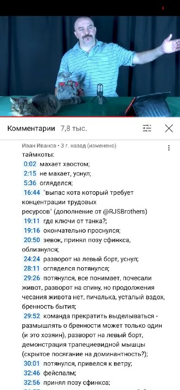 Кот требует концентрации трудовых ресурсов