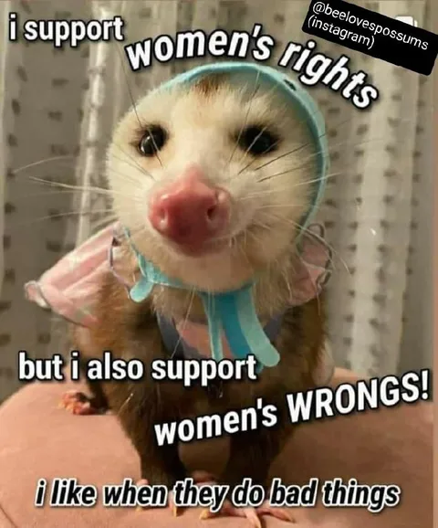 Women's Rights and Wrongs Possum
