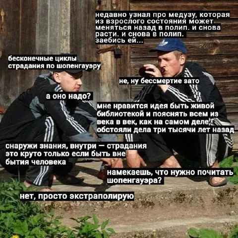 Бессмертная медуза и Шопенгауэр
