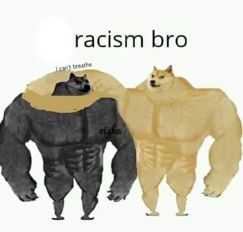 Racism Bro Can't Breathe