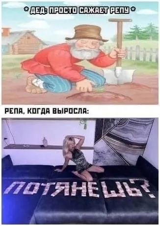 Репа, когда выросла