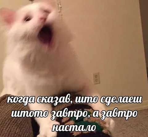 Когда завтра уже настало